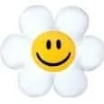 Wiggle Wiggle Smile We Love Cushion Blanket