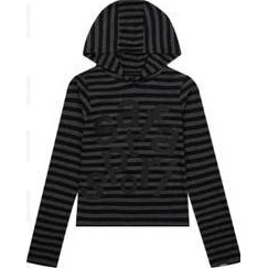 safari 1/2 Ticketing Stripe Border Hoodie